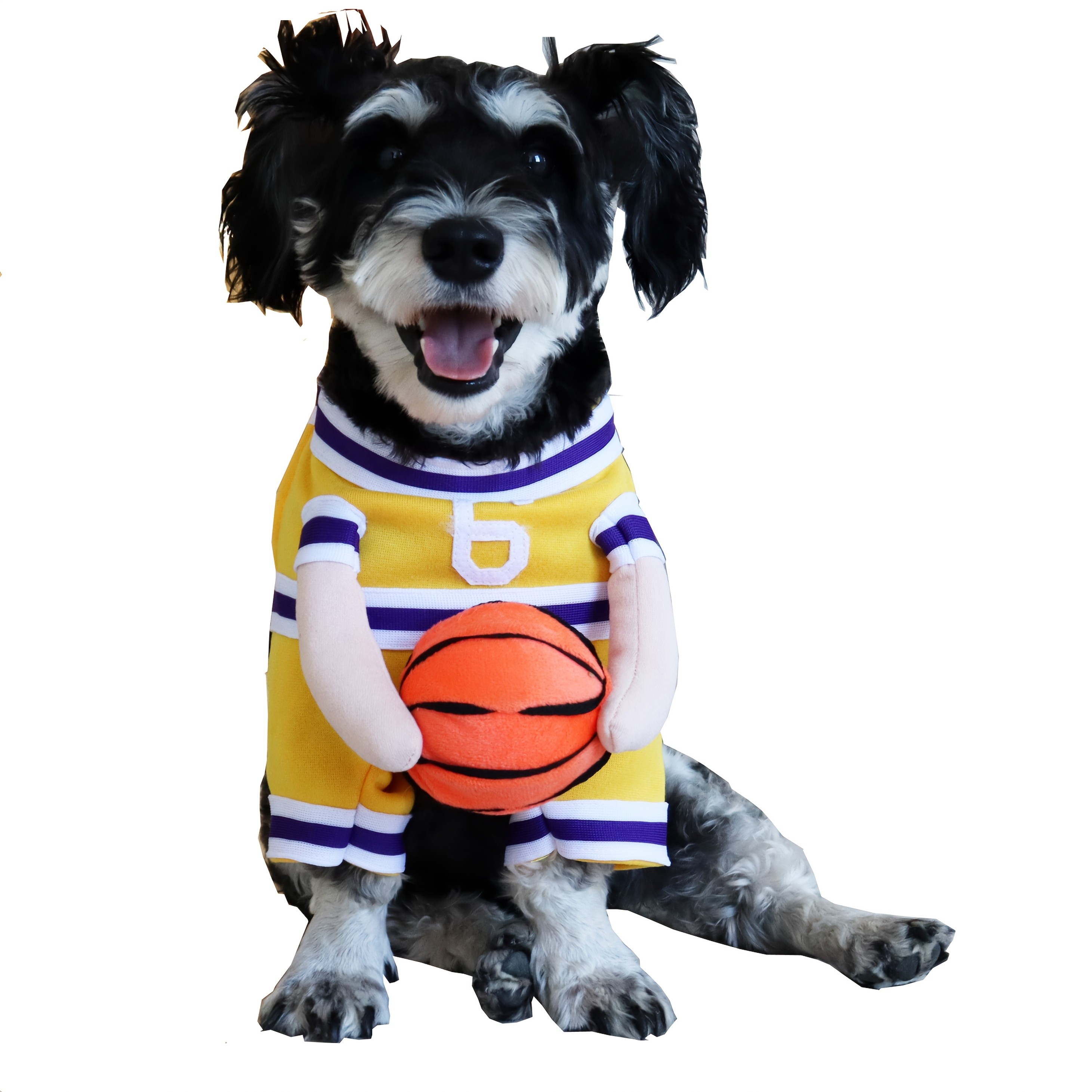 BAMDA Dog Basketball Player Outfit