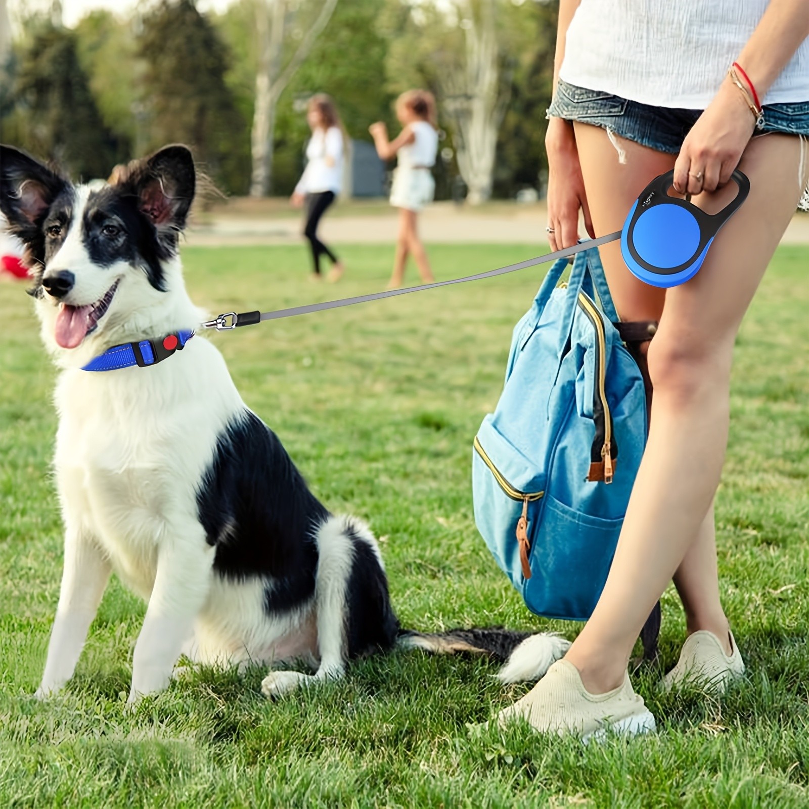 TAGLORY Reflective Dog Collar with Safety Lock + 4.88 Meter Retractable No-Tangle Leash Set