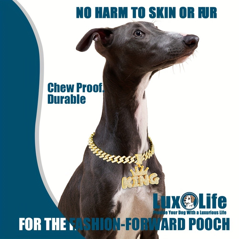 LuxLife King Pendant Dog Collar