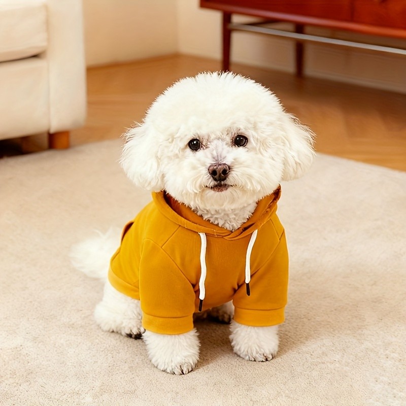 YIERYING Small Dog Ginger Yellow Hoodie with Drawstring