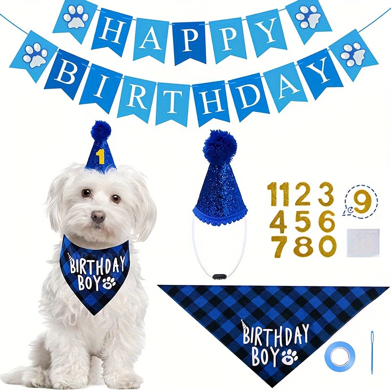 Birthday Accessories for Dogs