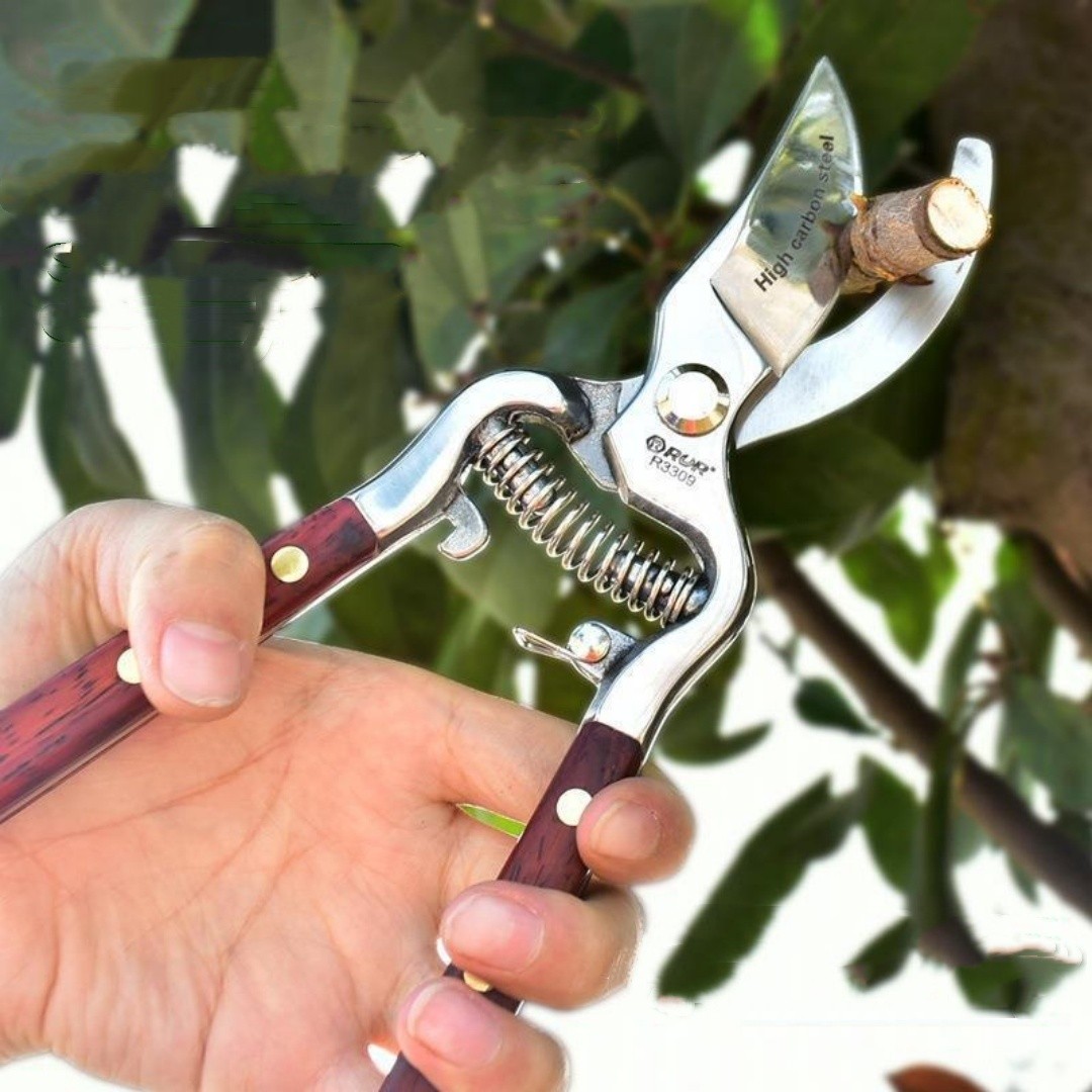 Garden Scissors Tools