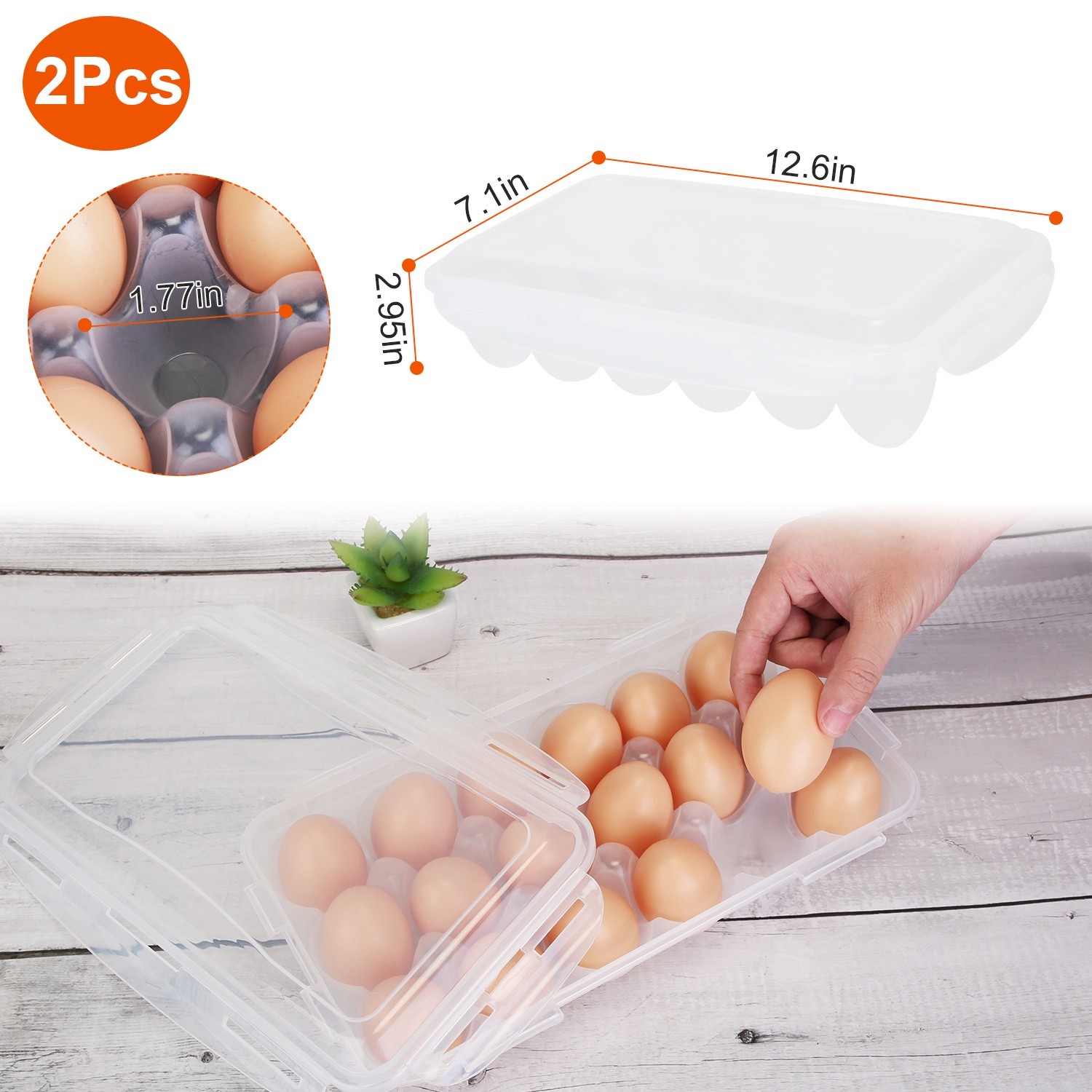 Plastic Egg Container