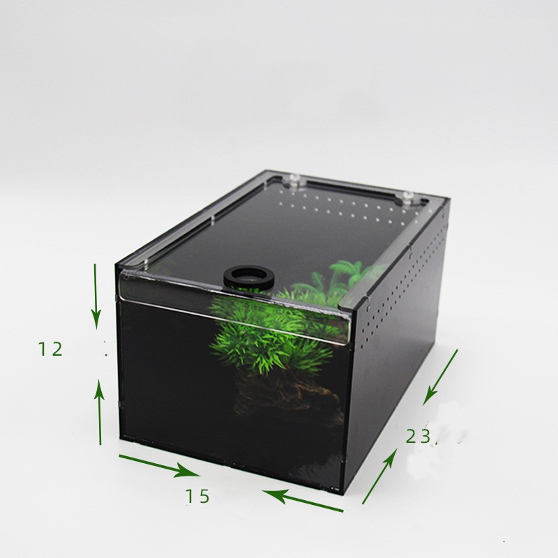 Reptile Terrarium