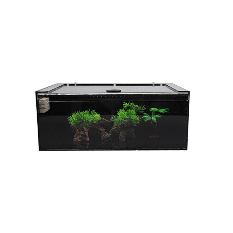 Reptile Terrarium