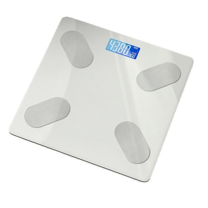Electronic Scales Battery