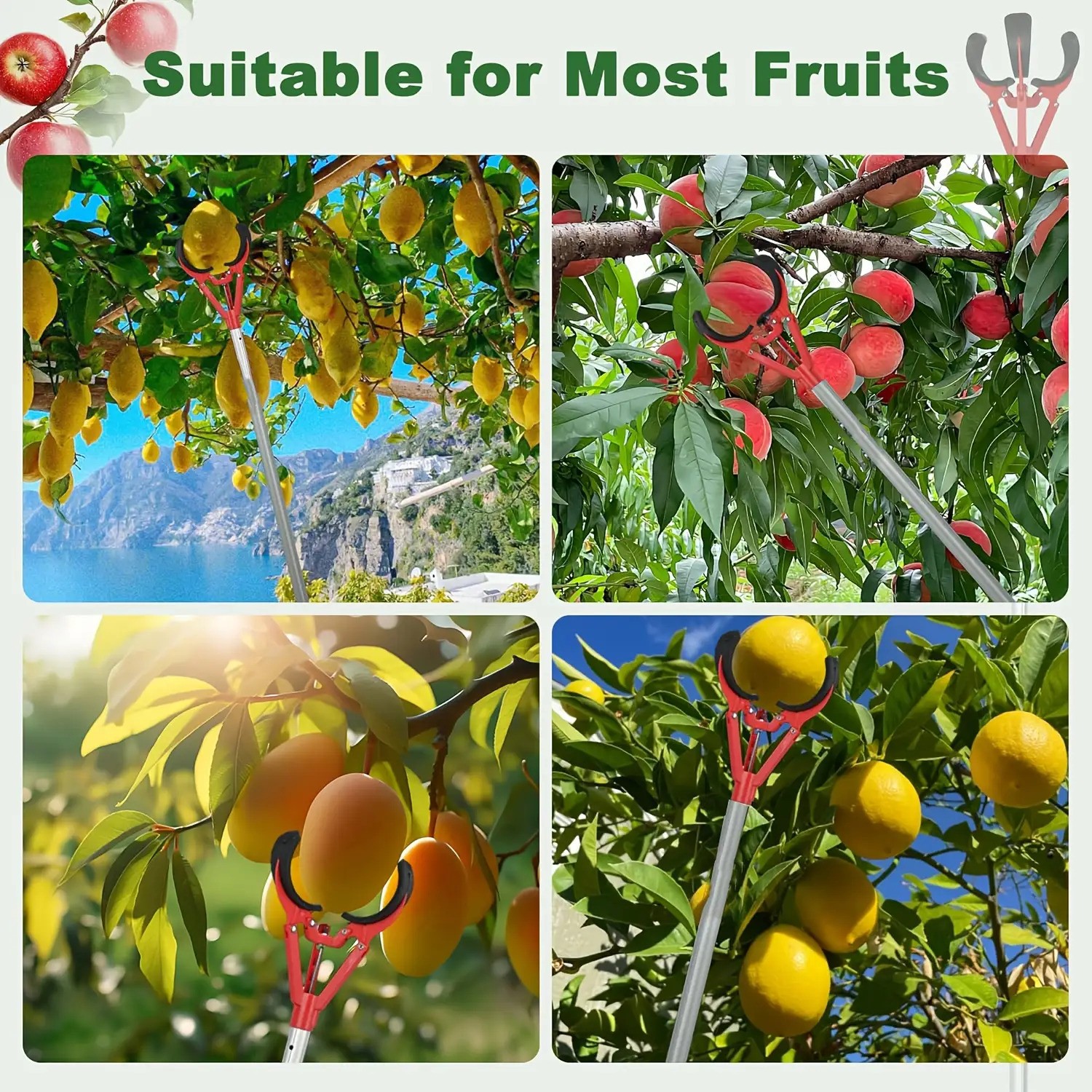 Tall Fruit Picker with Basket and Support Frame Universal Type