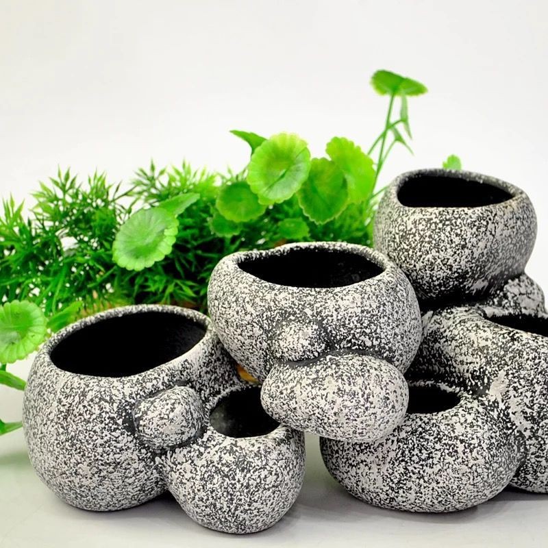 Best Pot Nz