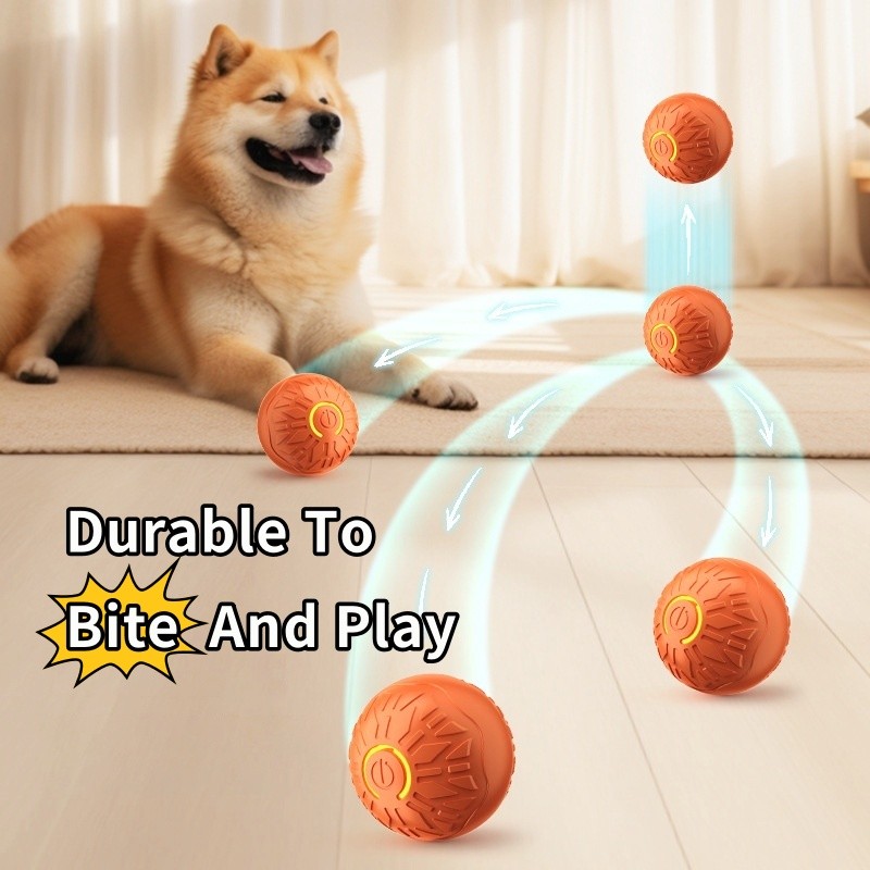 Cat Ball Automatic Rolling