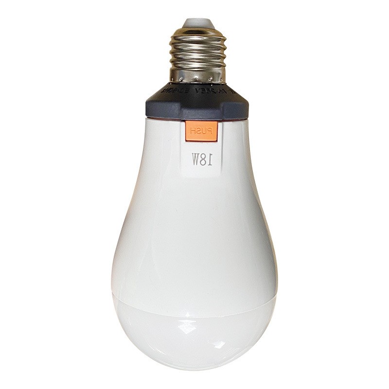 LED White Light Bulb