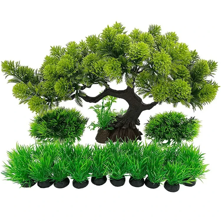 Aquarium Plants NZ