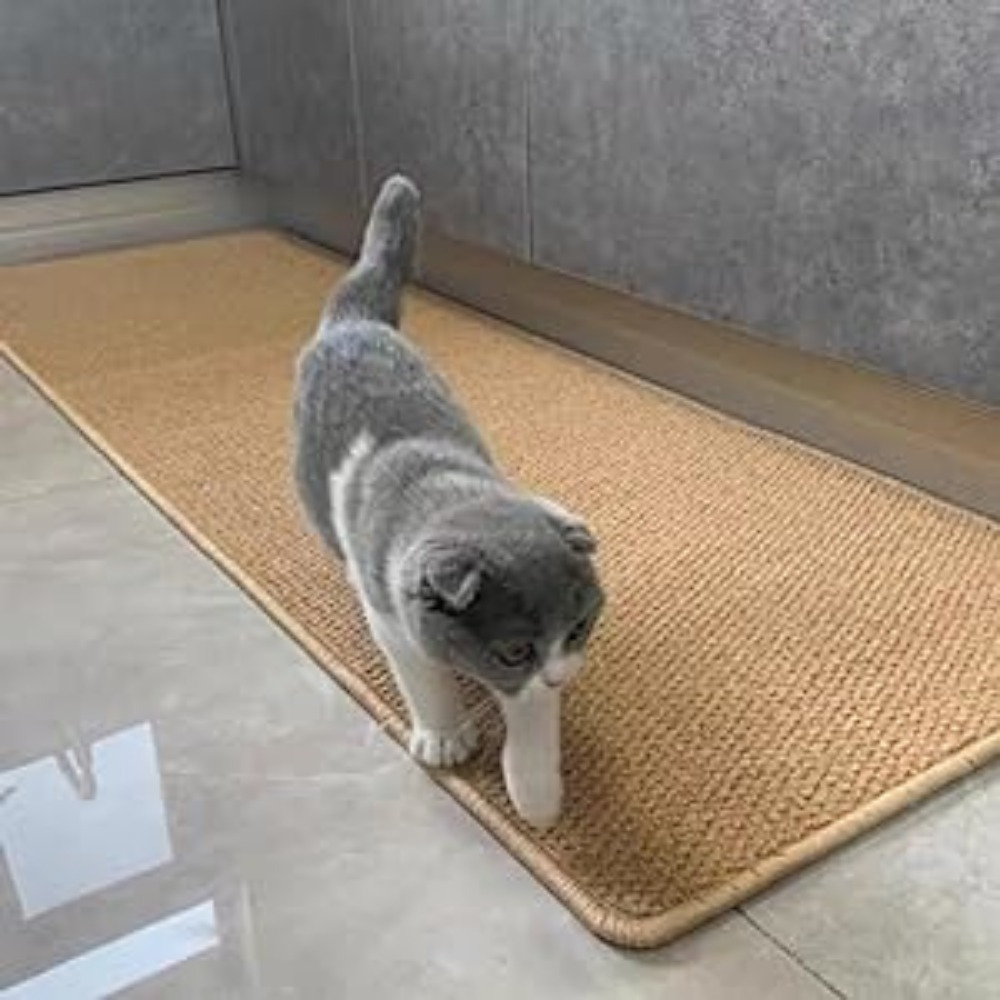 Outdoor Rug Runner
