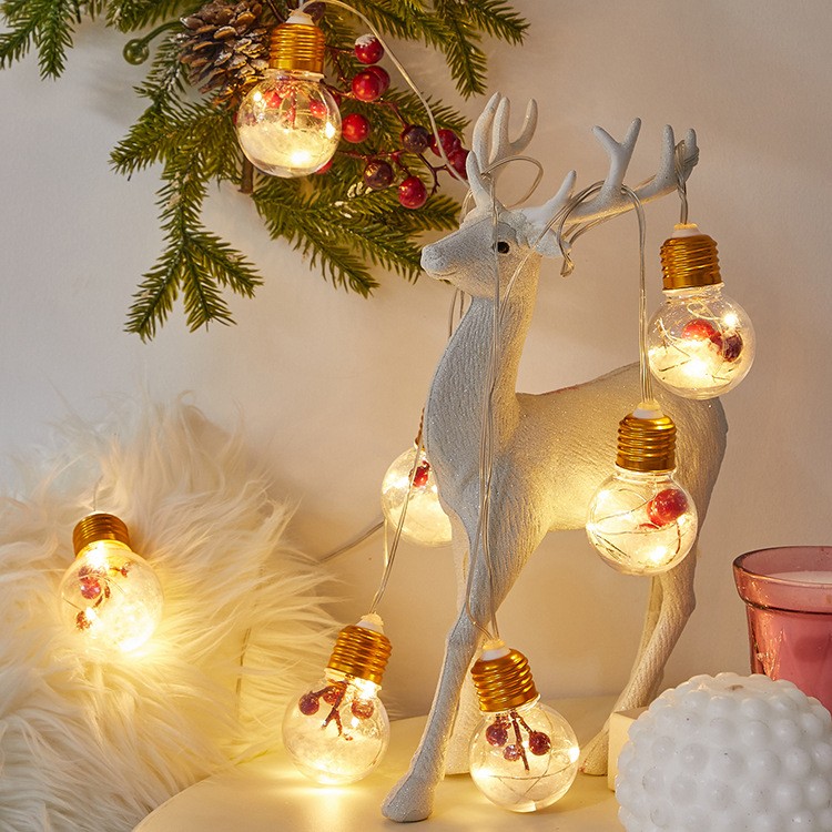 Christmas Lights Outdoor
